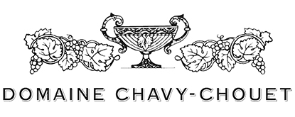 Logo de Domaine Chavy-Chouet